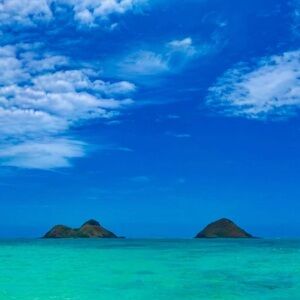 Random Boutique pulls !